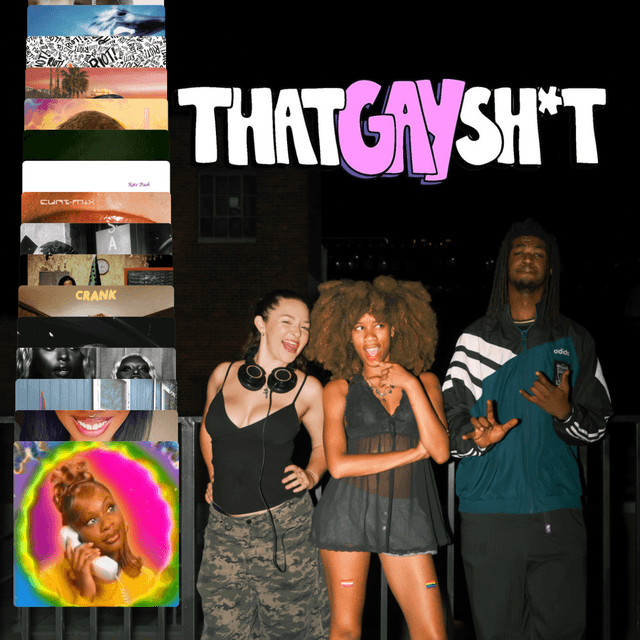That Gay Sh*t Party (Photo Book!) Cover